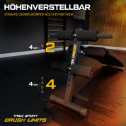 TREX SPORT Sit Up Bank klappbar Hantelbank TX-050B | Trainingsbank Schrägbank mit Beinstrecker, Griffen | Bauchtrainer & Rückentrainer für zuhause